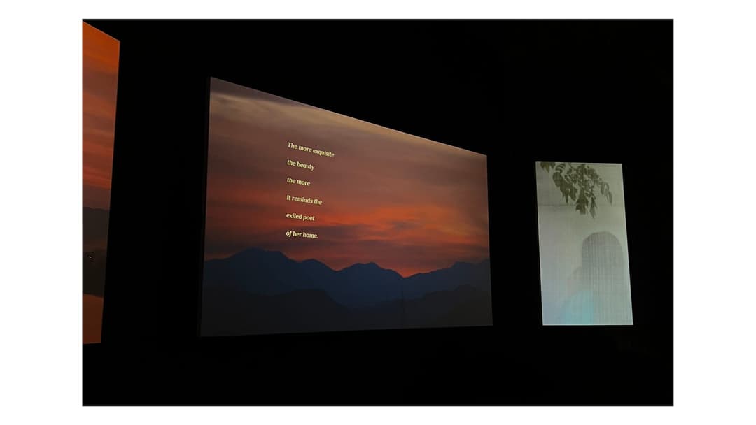 Thao Nguyen Phan: The Sun Falls Silently; Palais de Tokyo, 2025